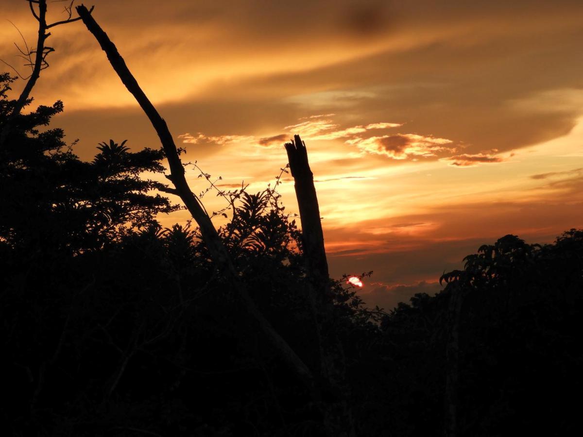 Moon Wonders Vacation House Monteverde 外观 照片